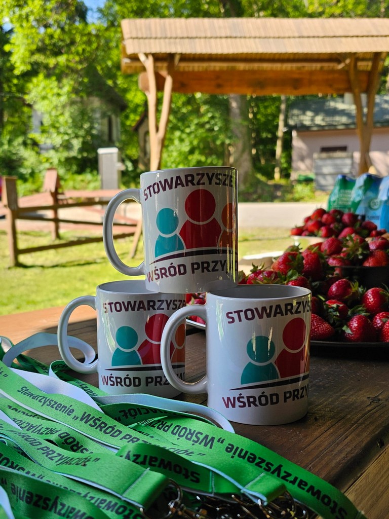 Gra plenerowa „W poszukiwaniu Zdroju”