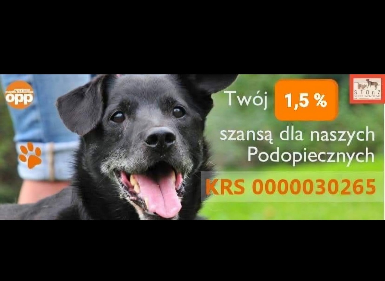 POMAGAMY  ZWIERZĘTOM  ZE  SCHRONISKA